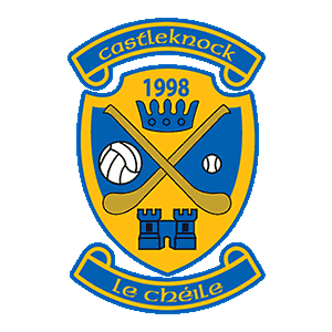 Image result for castleknock gaa