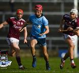 Senior hurlers fail to spark against Galway