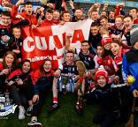 Cuala out in front in Dublin Bus/Herald Dubs Stars hurling nominations