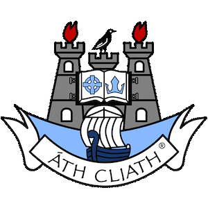 Image result for dublin gaa crest